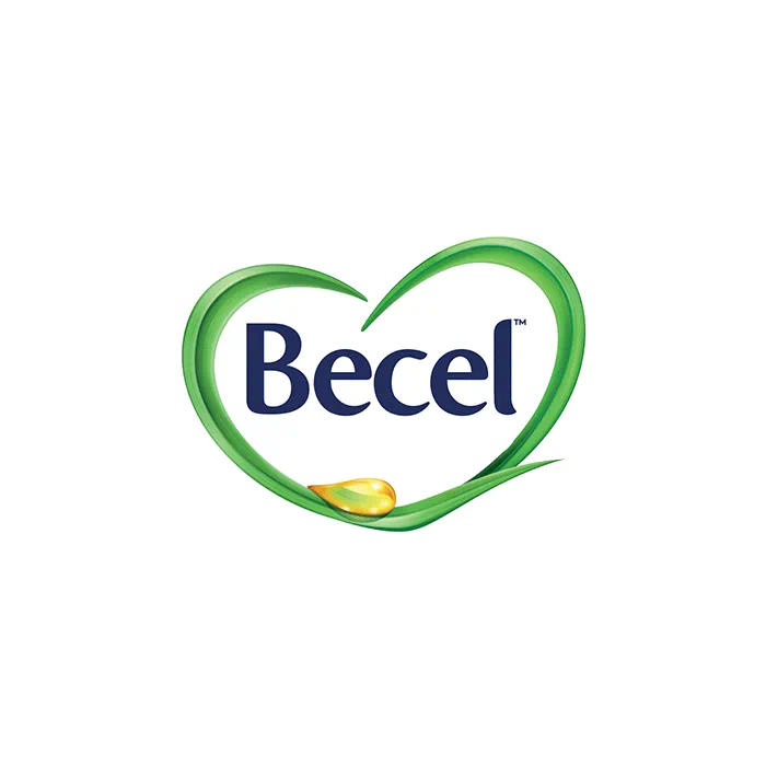 Margarina Becel Original Com Sal 500g - Destro
